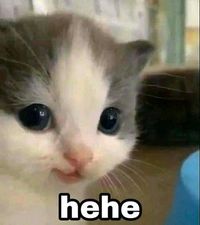 1000009304
