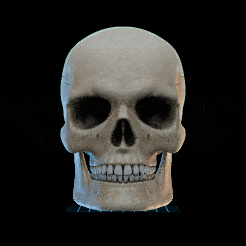 Mandibular 1