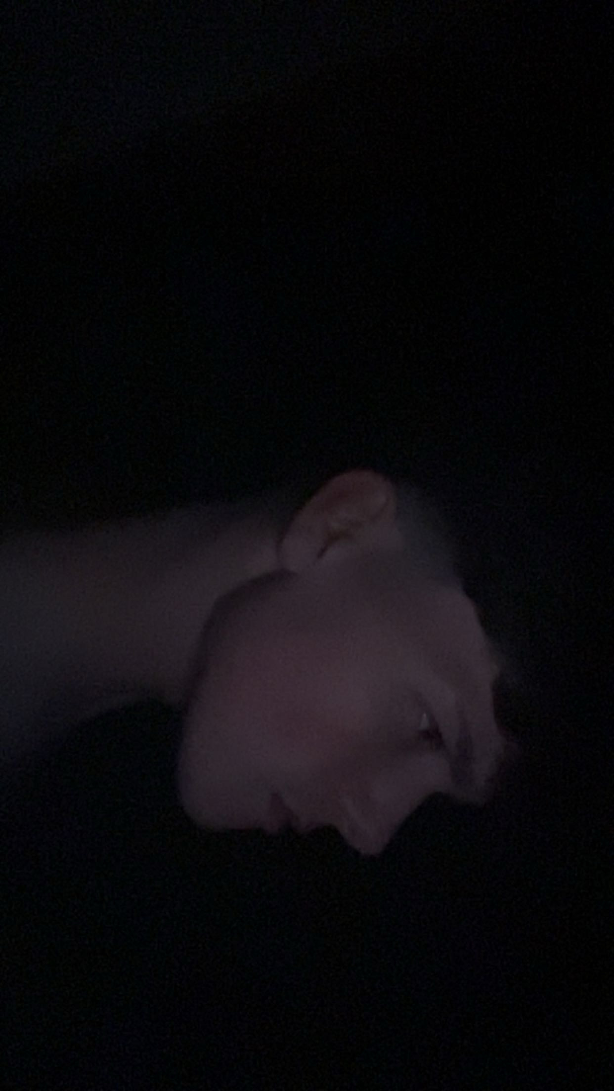 IMG 0807
