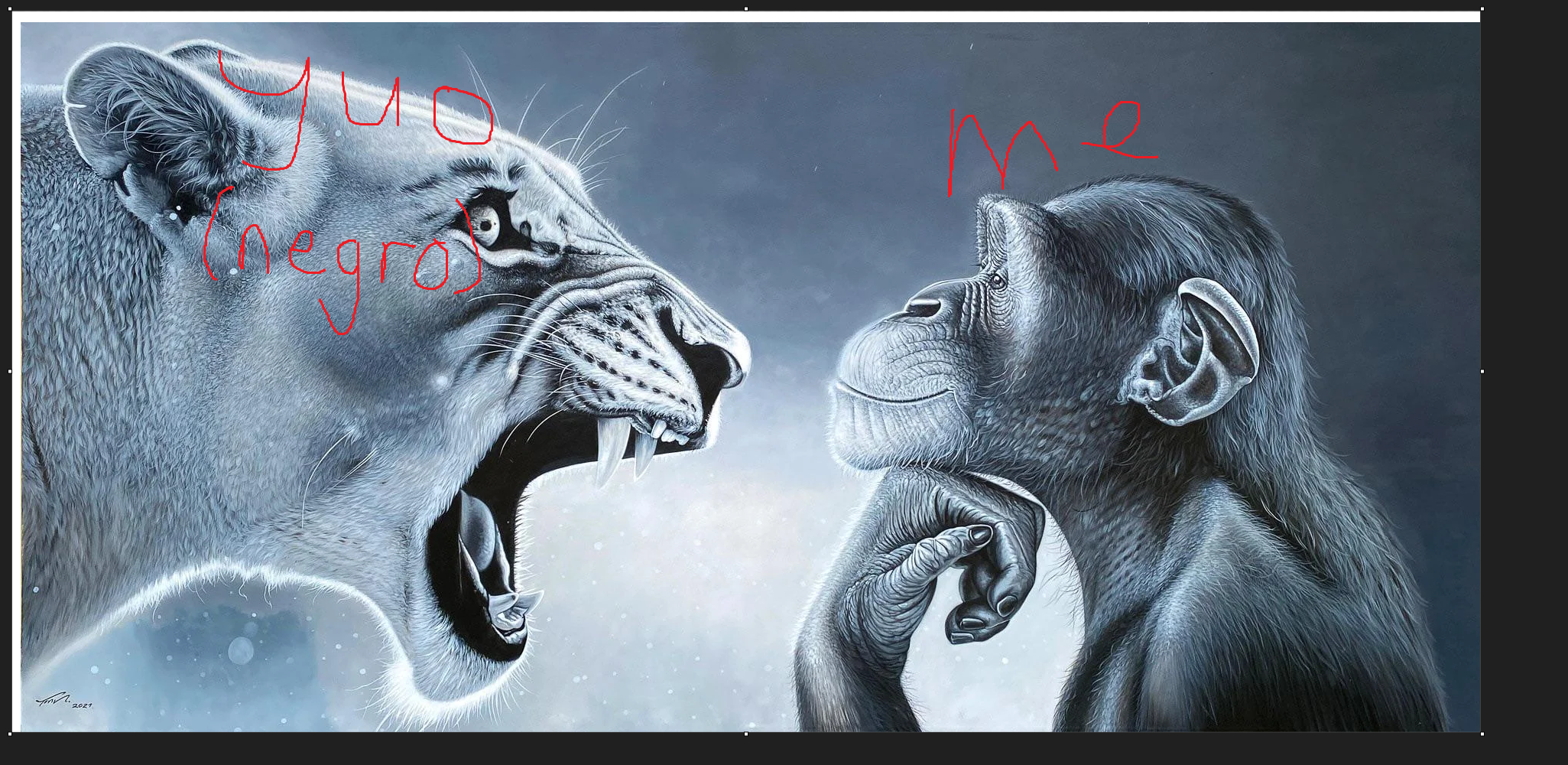1000003248