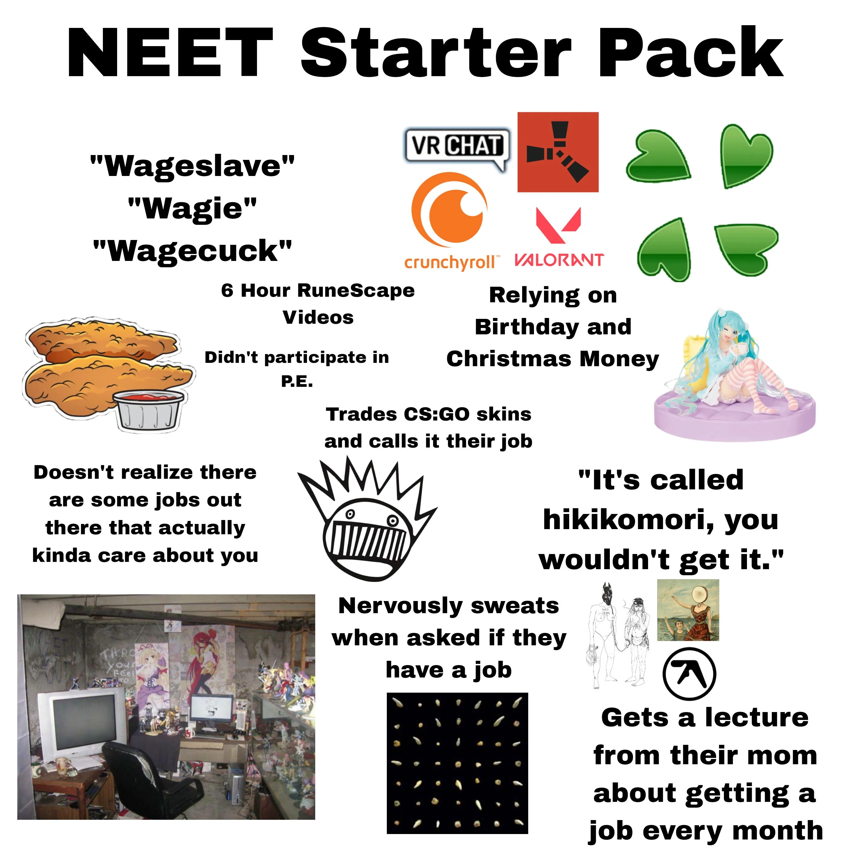 Neet starter pack v0 n730qs086gfc1