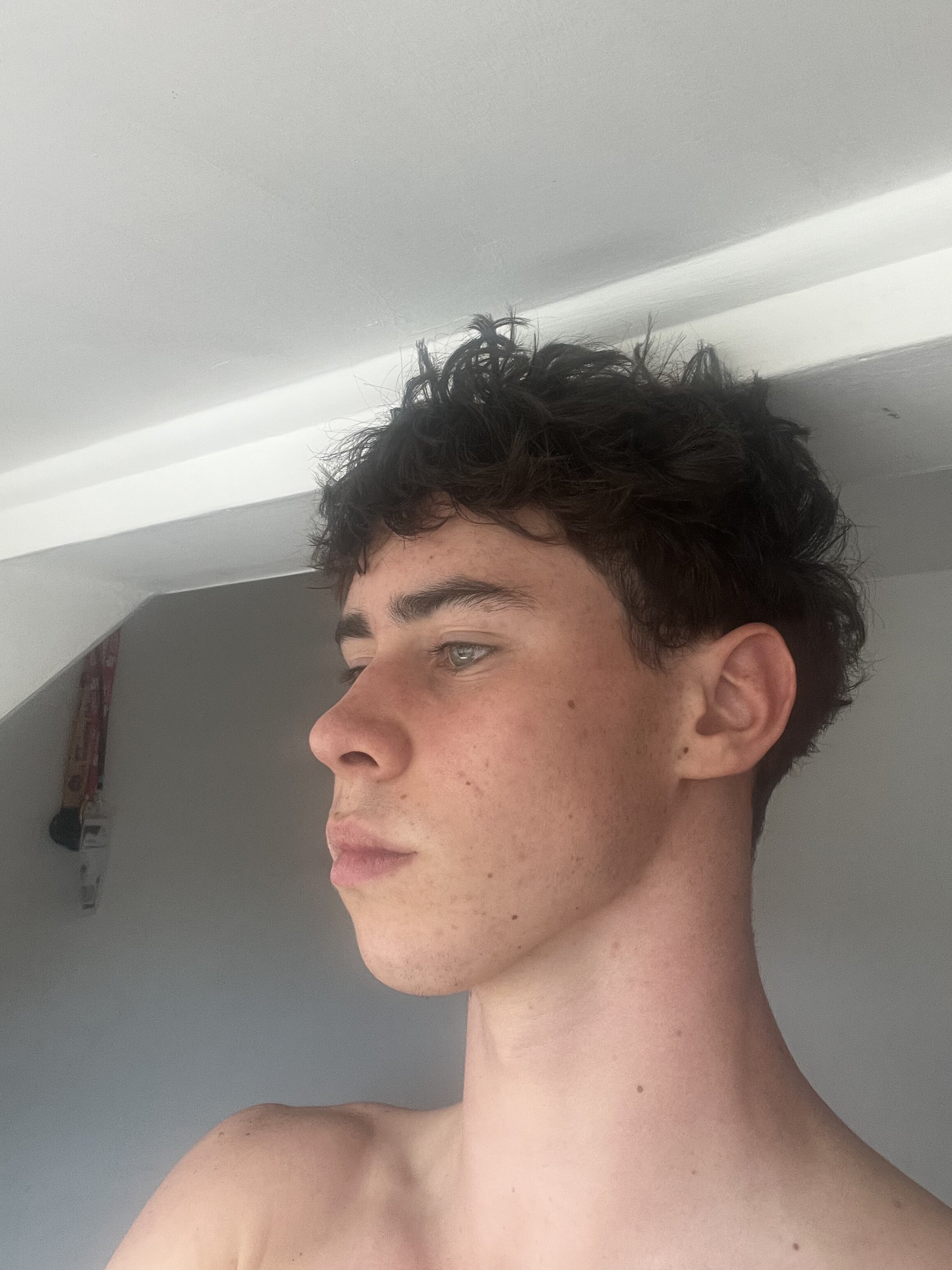 IMG 3946