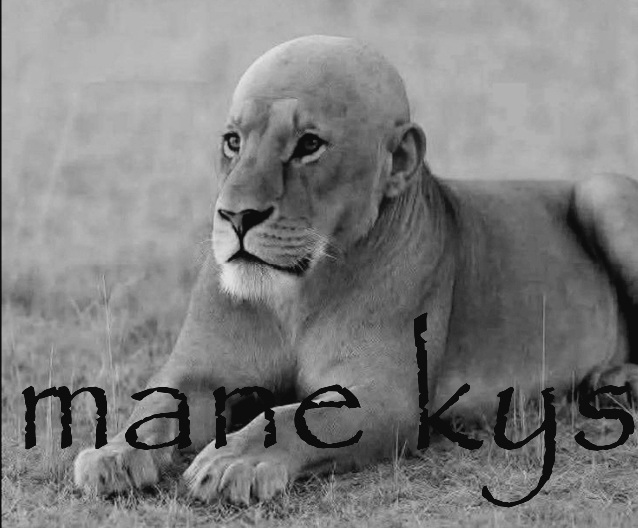 Screenshot 20250825 151119 Alight Motion