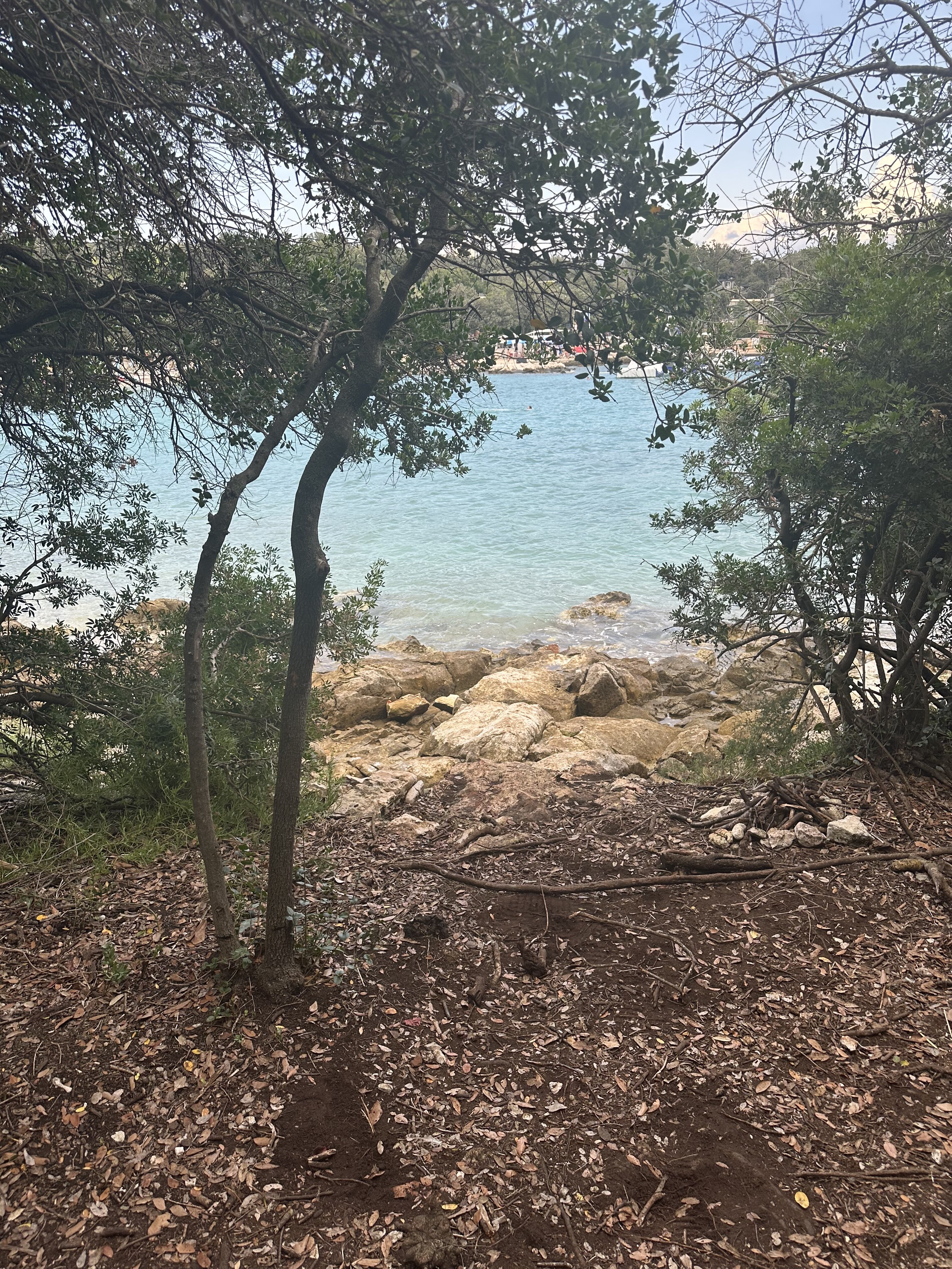 IMG 0274