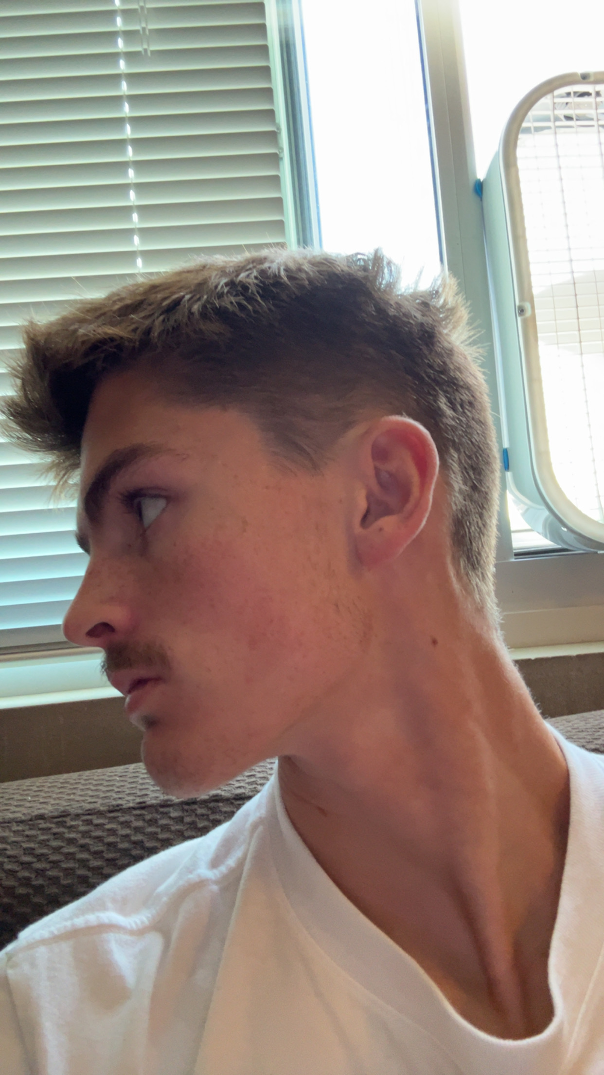 IMG 2250