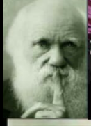 1756413529066