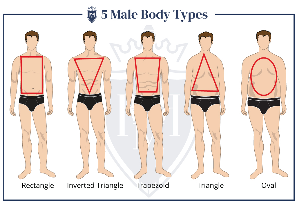 Infographic male body types
