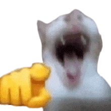 1756514357269 1756514357269