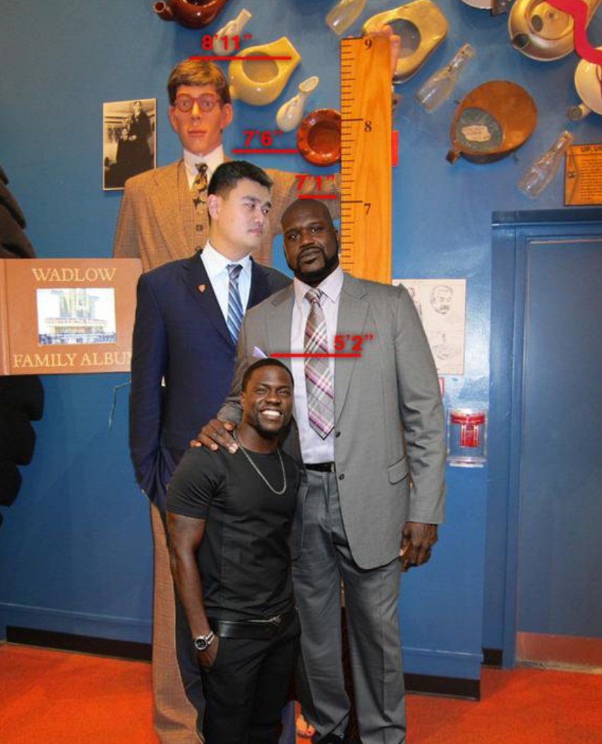 Robert wadlow yao ming shaquille oneal and kevin hart