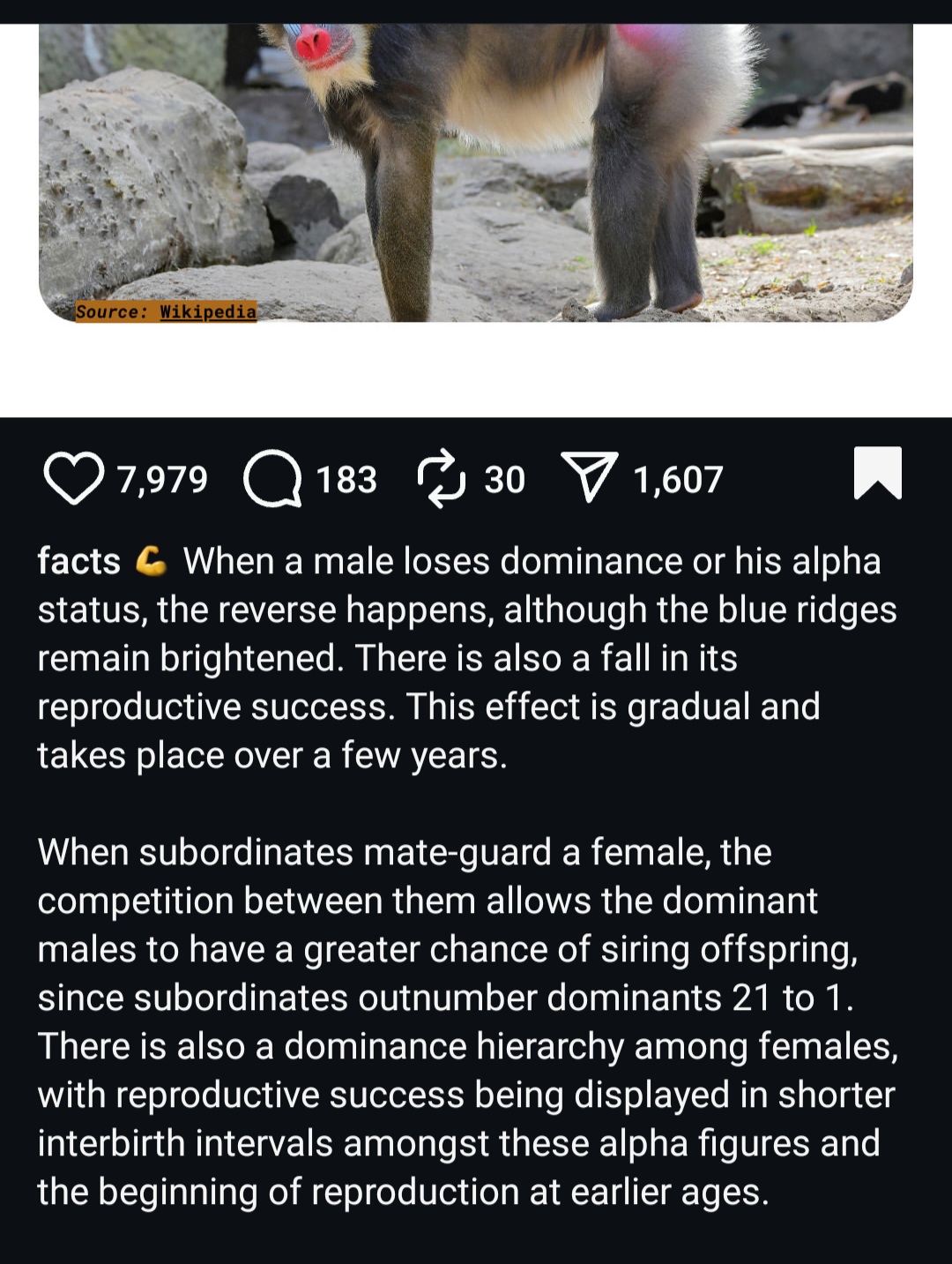 Screenshot 20250831 214659 Instagram Screenshot 20250831 214659 Instagram