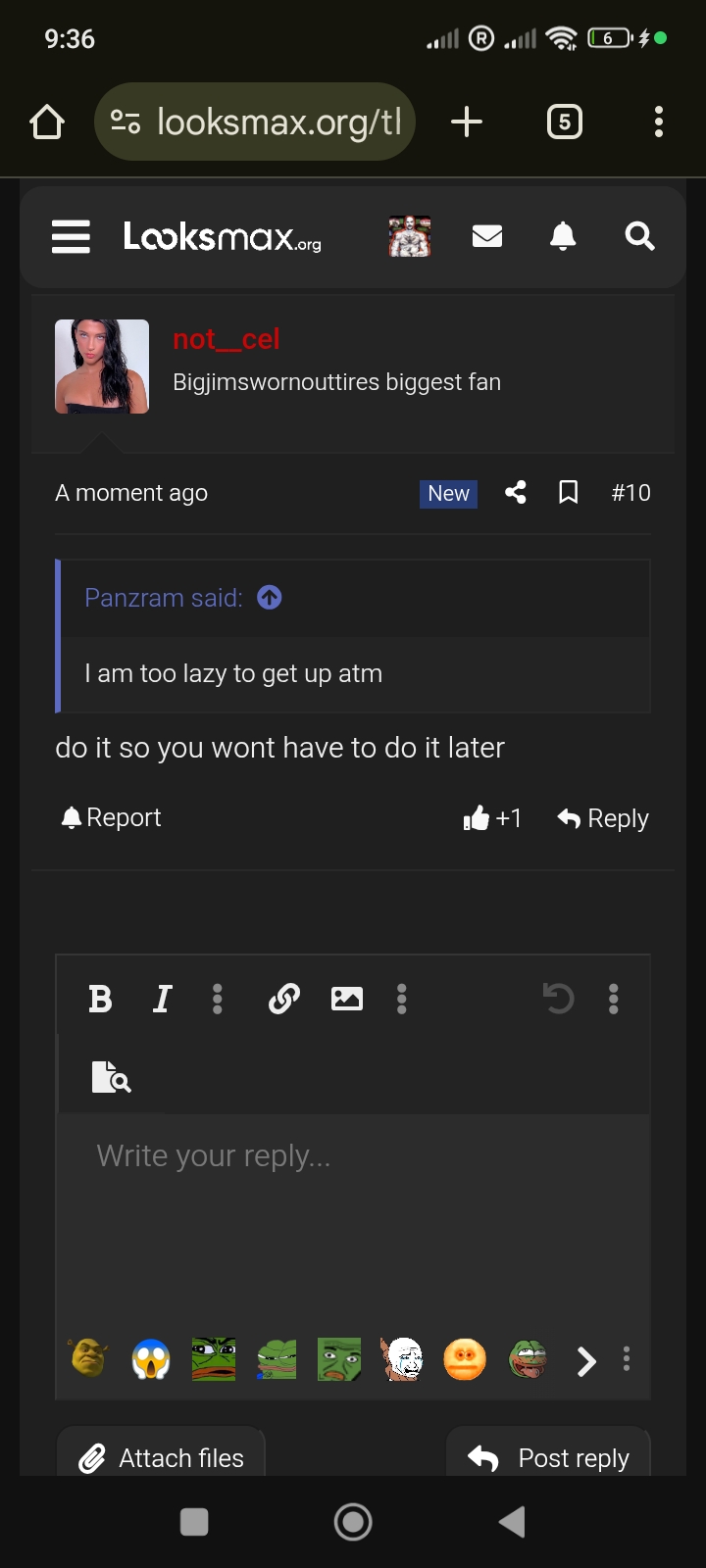 1000013156