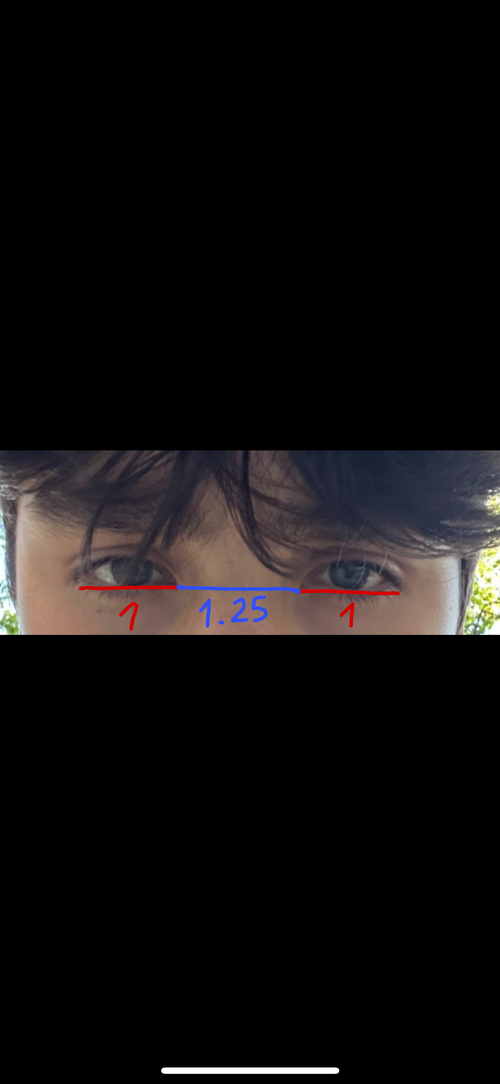 IMG_1338.png