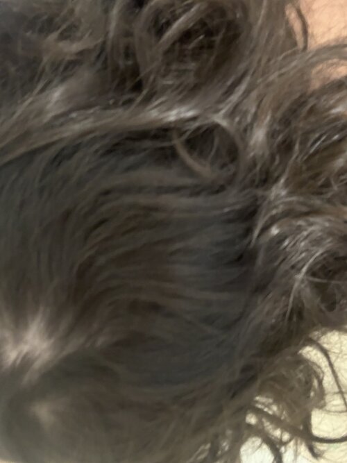 IMG_1624.jpeg