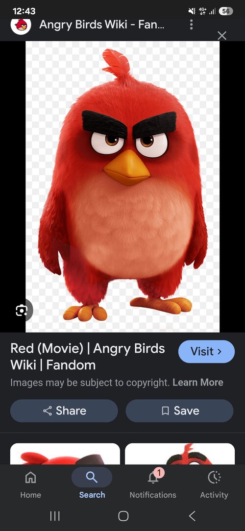 Screenshot_20250805_004331_Google.jpg