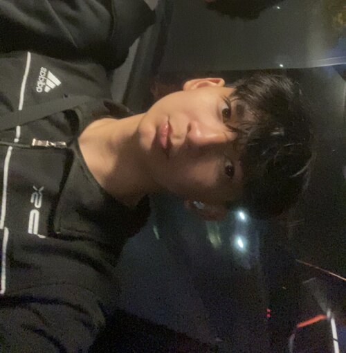 IMG_2374.jpeg