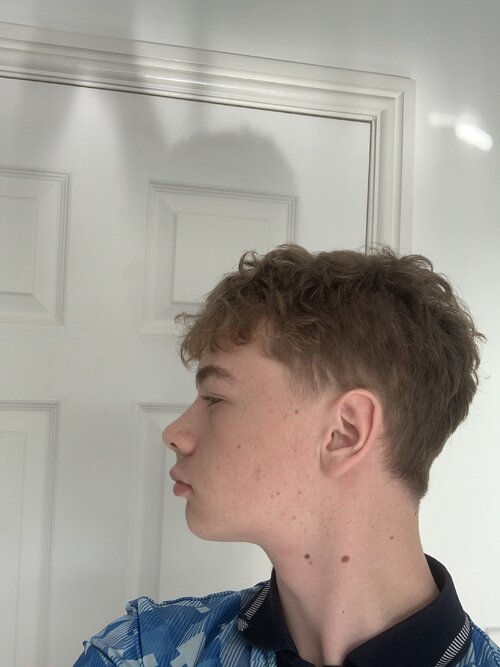 image.jpg