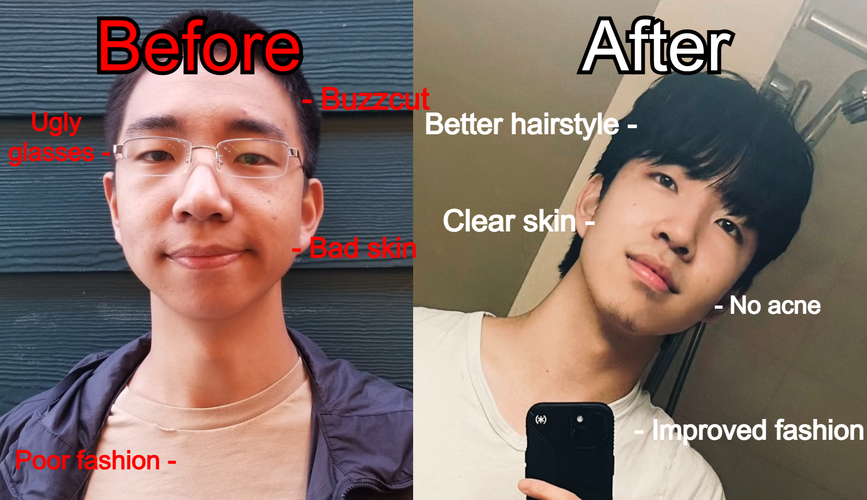 my looksmaxxing transformation.png
