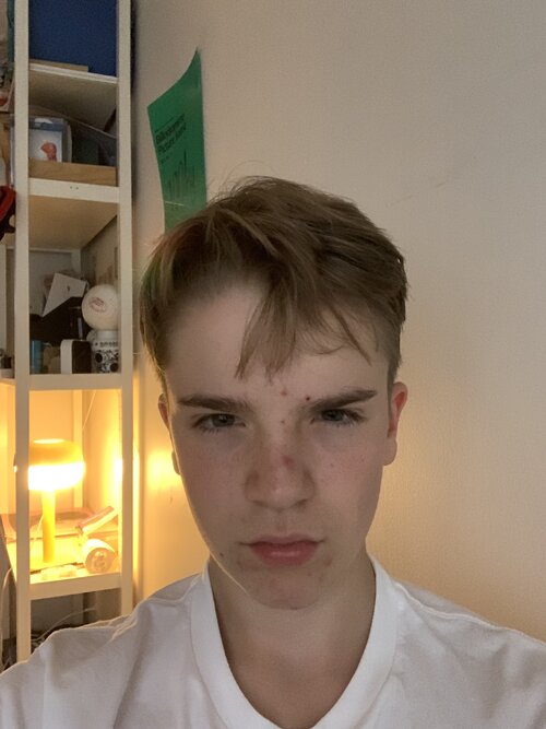 IMG_7990.jpeg