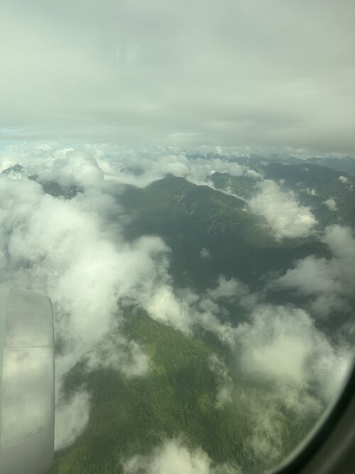 IMG_6086.jpeg
