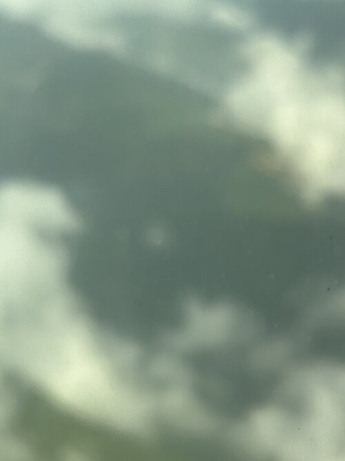 IMG_6085.jpeg