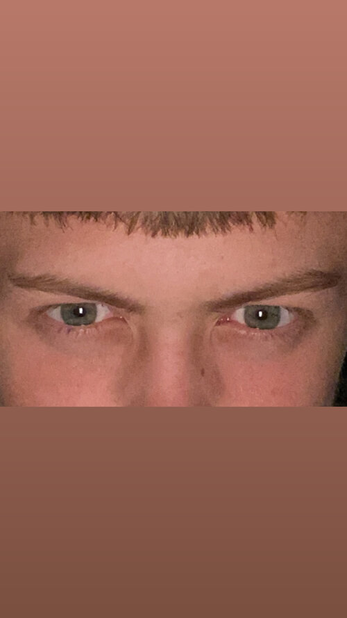 IMG 9558