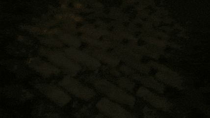 1754928928683.png