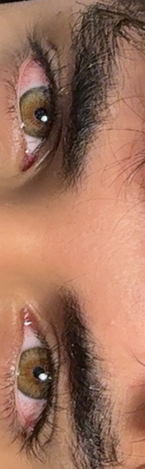 IMG_3277.jpeg