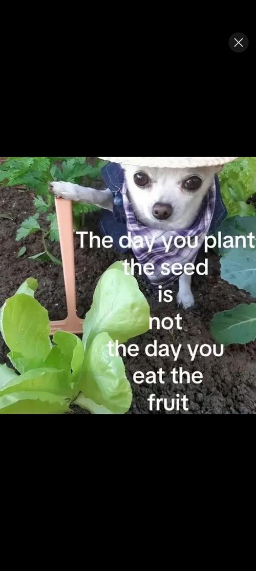 Screenshot_20250812-150153.png