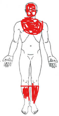 1755276428507.png