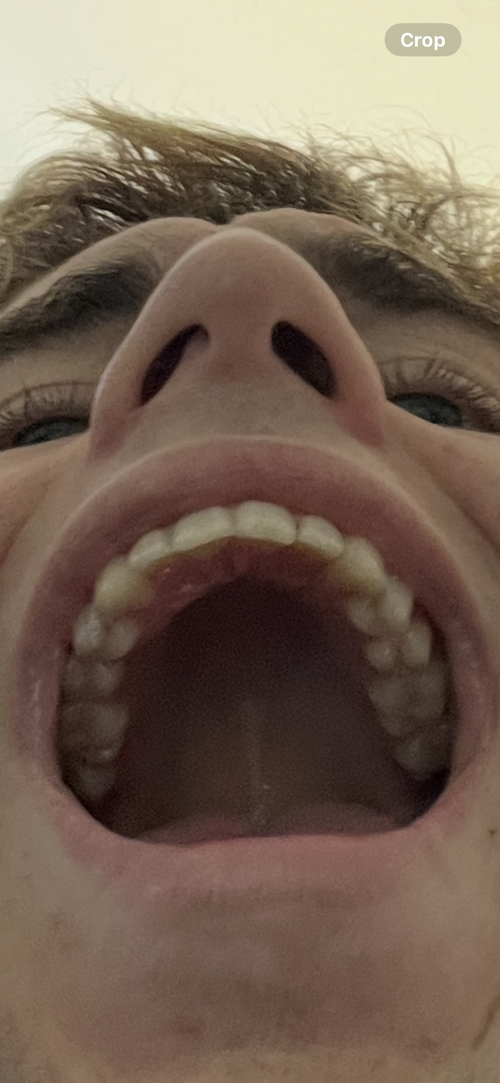 IMG_5997.png