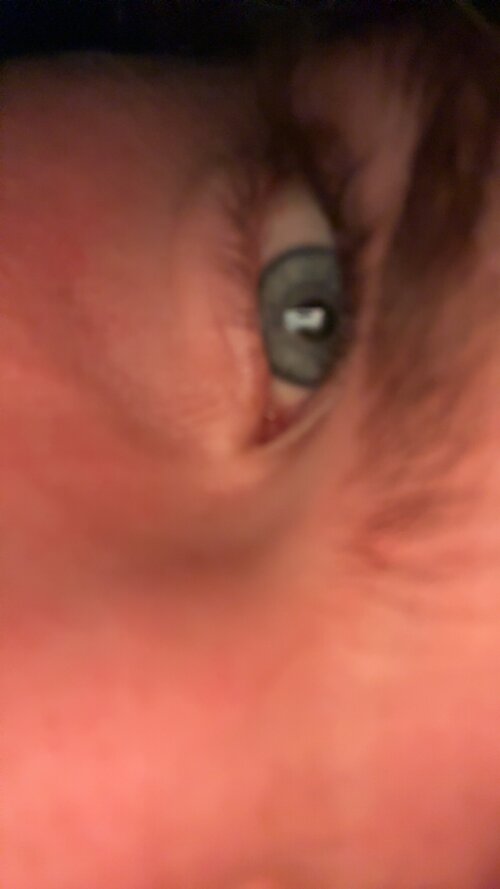 IMG_0973.jpeg