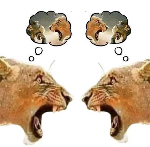 5260048_5247529_1755314283786.png