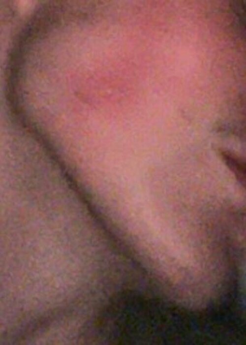 IMG_9376.jpeg