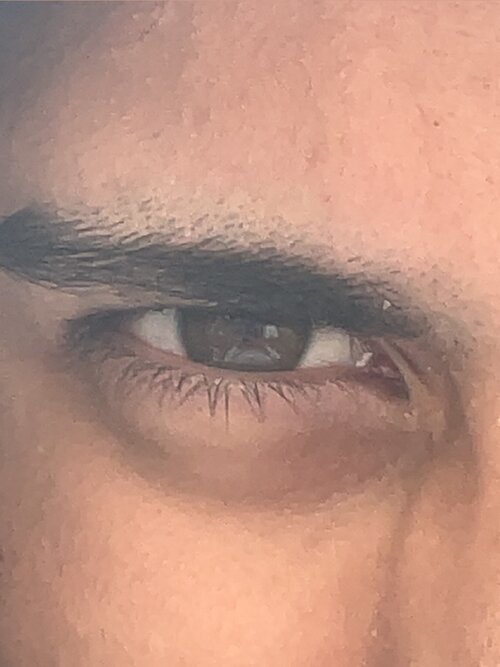 IMG_8771.jpeg