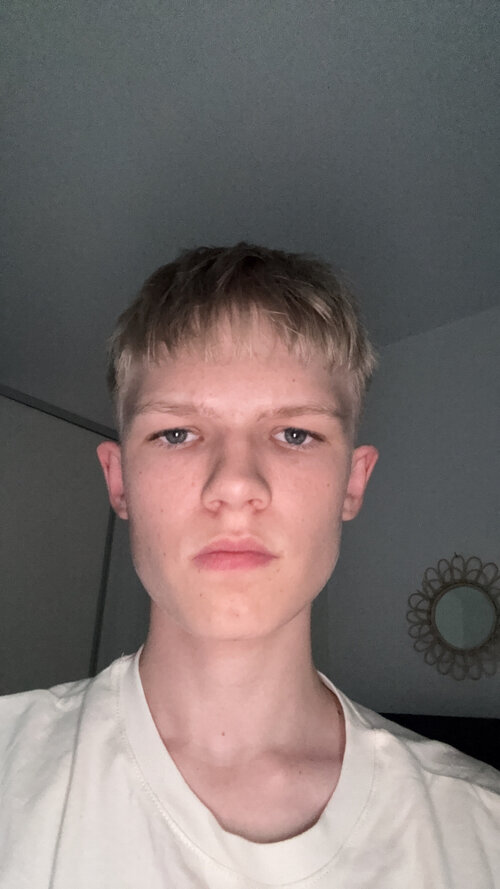 harald lite mog.jpg