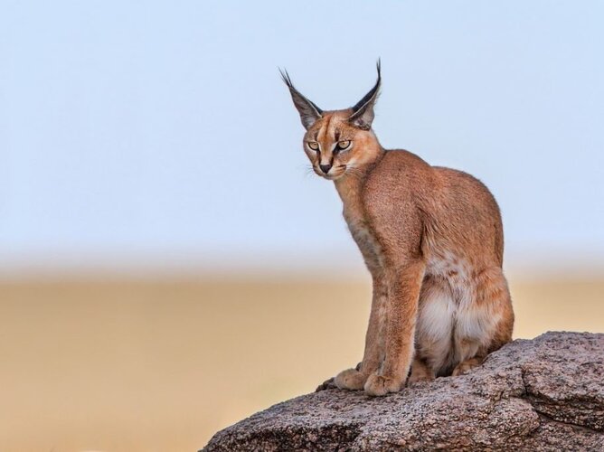 2023 10 gettyimages 583978916 1 2e16d0bafill 3840x2880