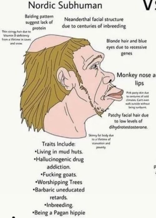 IMG_1016.jpeg