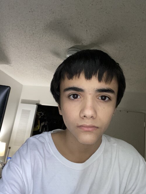image.jpg