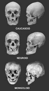 images (1).jpeg
