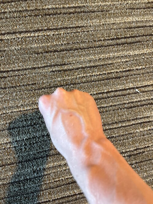 image.jpg