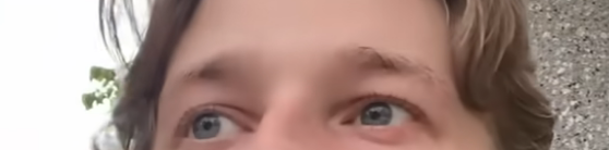 sdfadasf.PNG