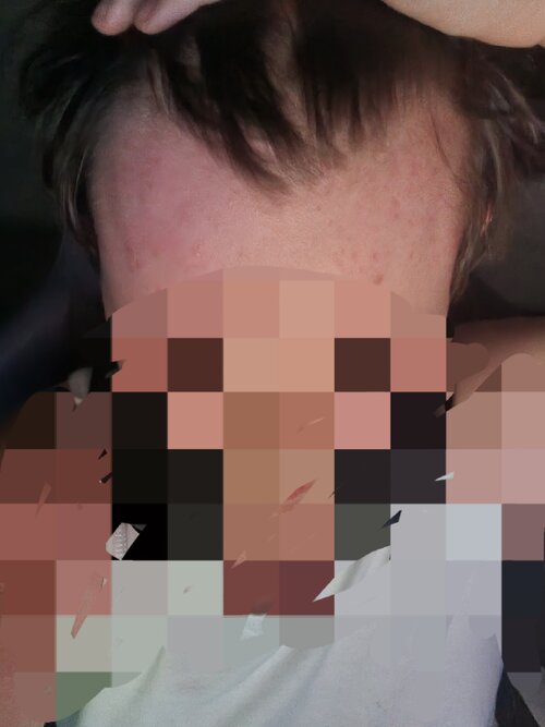 20250831_054425.jpg