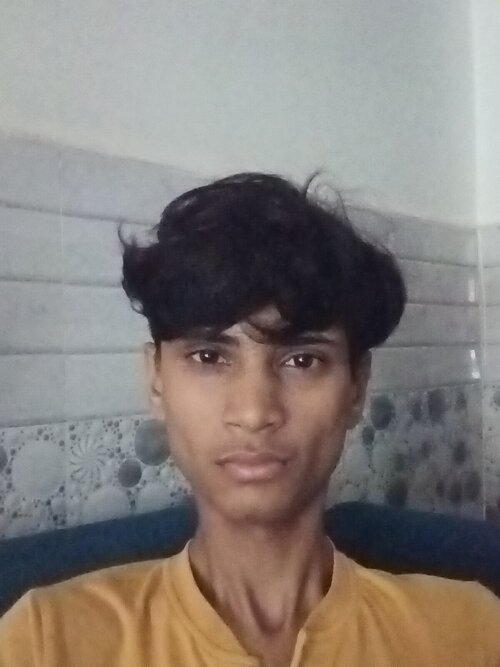 5291164_3303.jpg