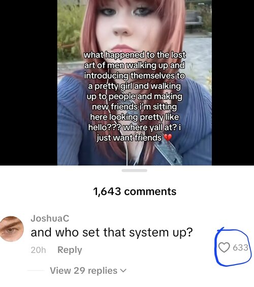 Screenshot_20250831_053800_TikTok.jpg