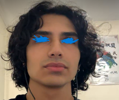 neverbegan.png