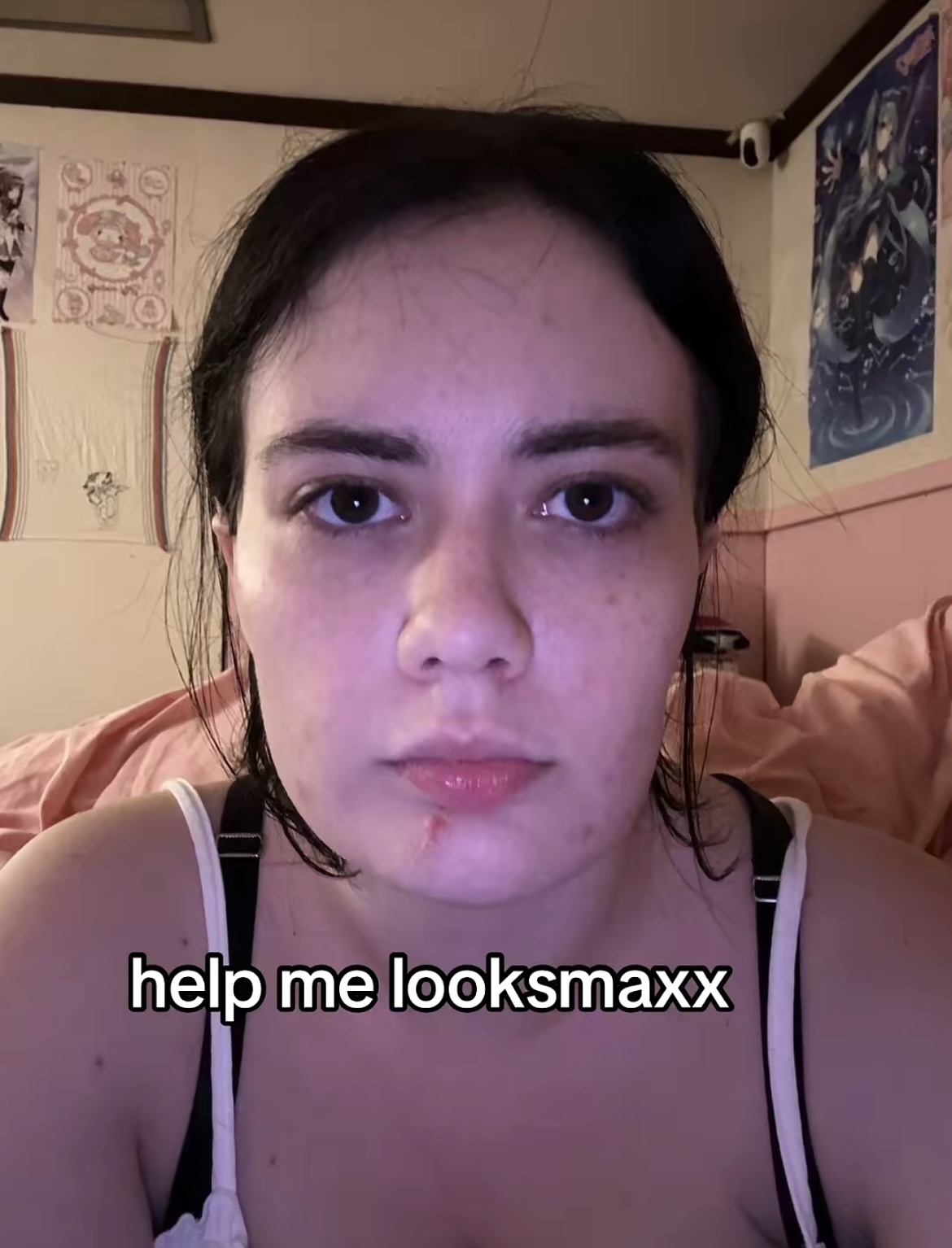 IMG 2264