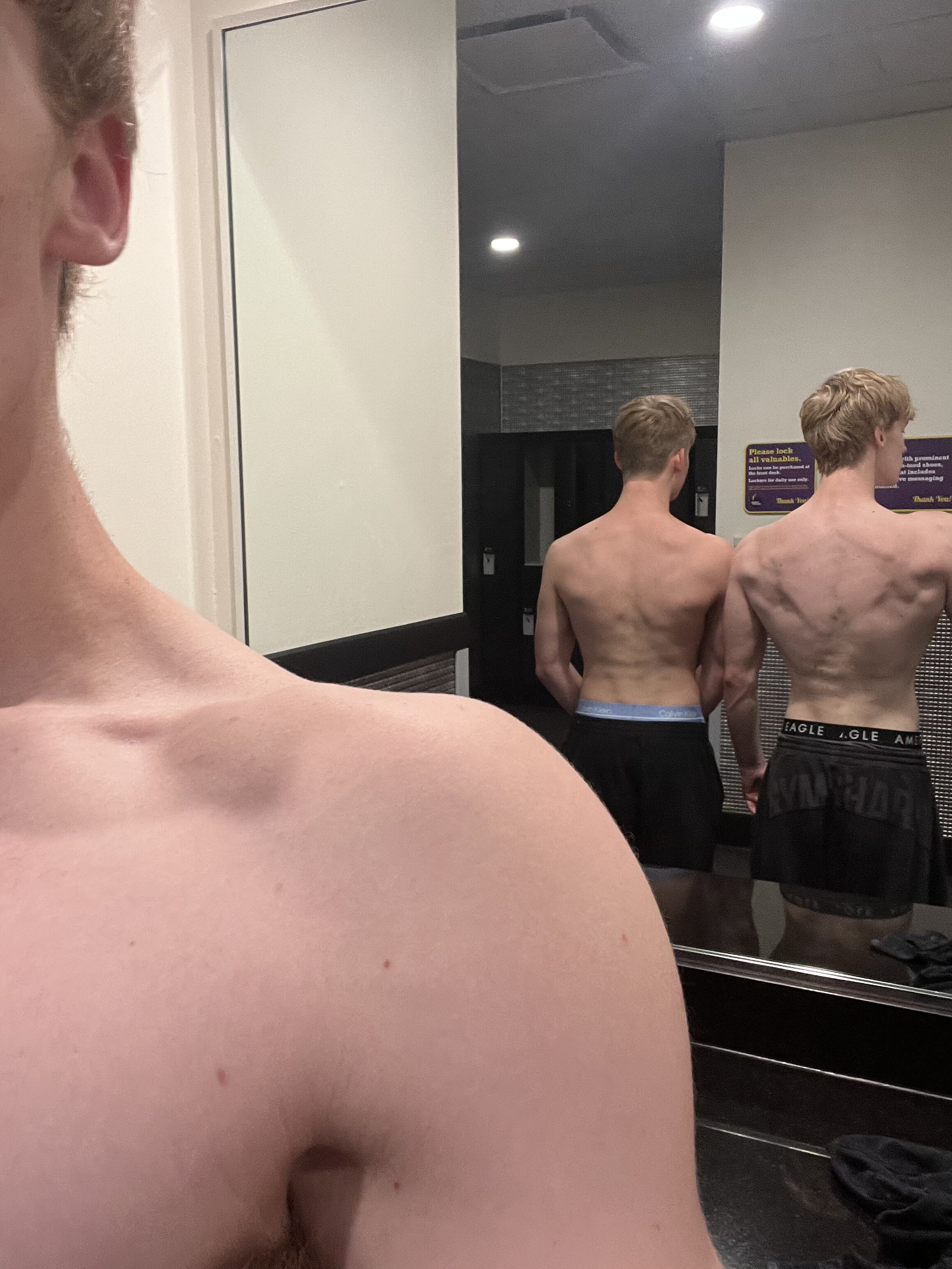 IMG 1341