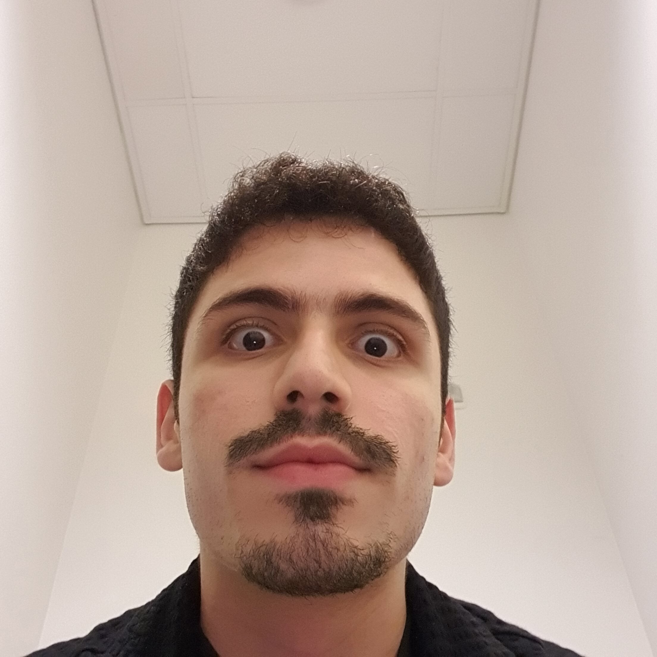 17567202415946476504622284266617
