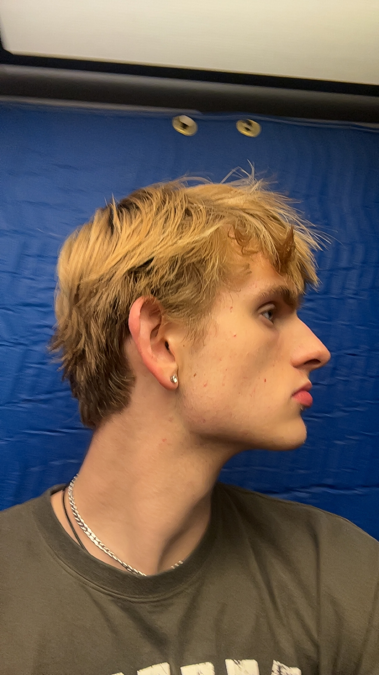 IMG 7384