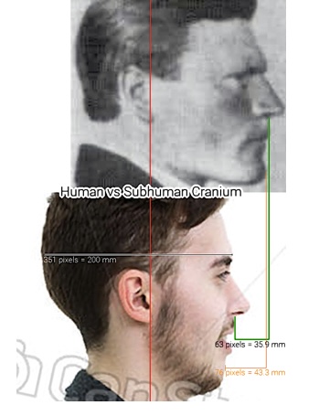 IMG 2343